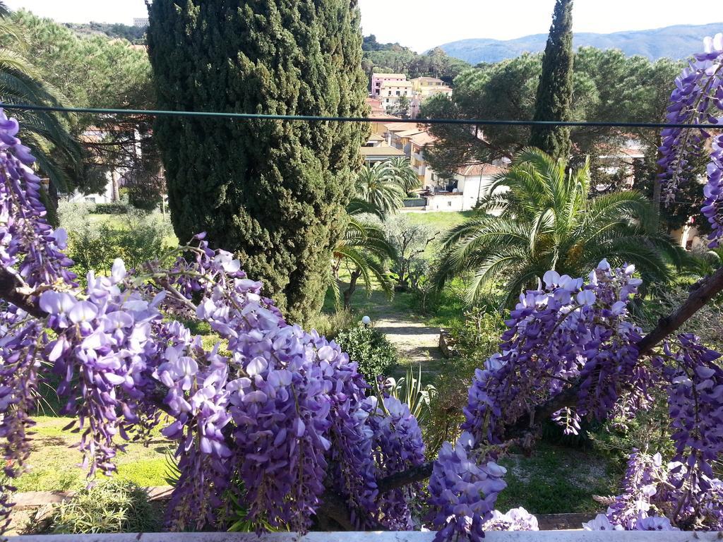 Villa San Giuseppe Porto Azzurro Exteriör bild
